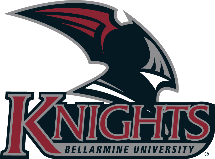 Bellarmine Knights 2004-2010 Primary Logo DIY iron on transfer (heat transfer)